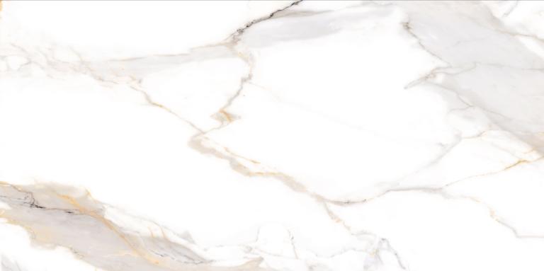 NTT9121P Calacatta Light Grey 60x120 NT Ceramic