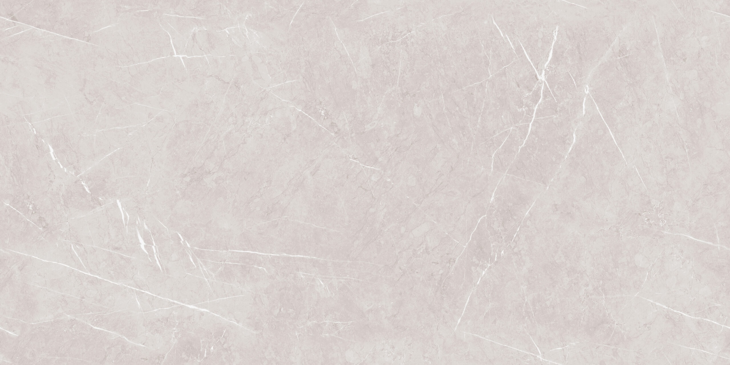 Alpine Grey Lucent 120х60 Maimoon Ceramica фото 3