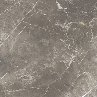 ECE3 Persian Grey Silk RT 60x60 Keope