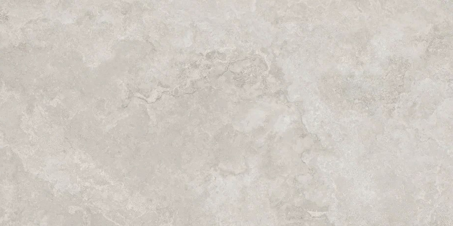 NR234 Vega Silver Рельеф 60x120 PrimaVera