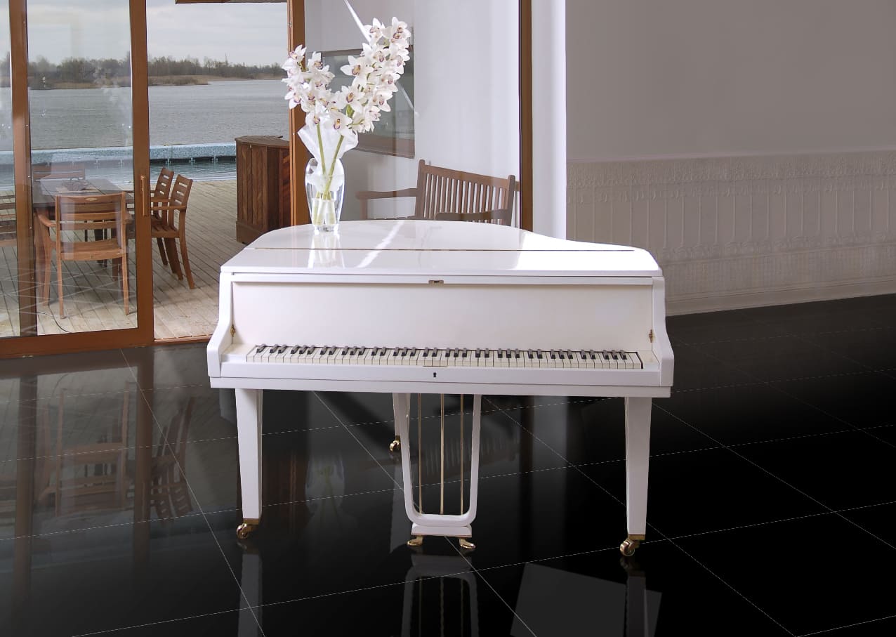 Colores Porcelanicos HDC