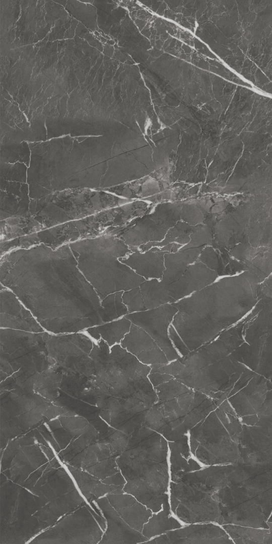 GT1206019809MHRR Oscar Темно-серый матовый 60x120 Global Tile