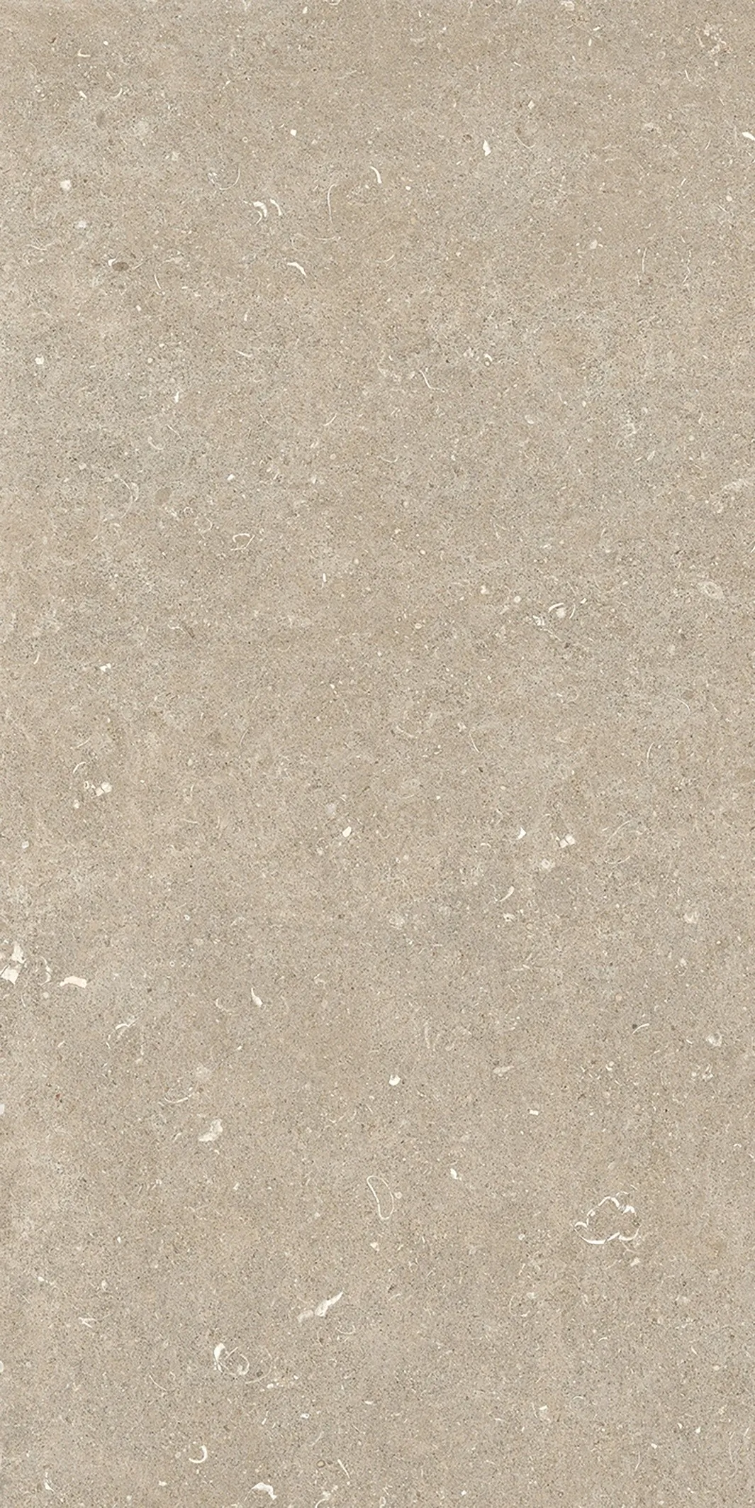 785575 Rinascenza Arena Conchiglia Matte 6mm 60x120 Casa Dolce Casa