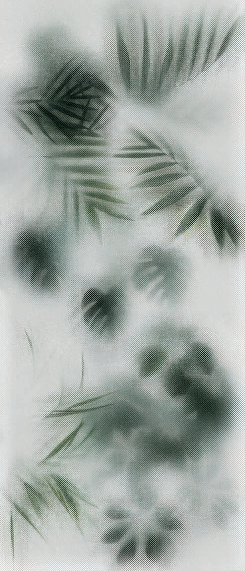 PF60010092 Art Walls Beyond Lux R 120x280 Flaviker