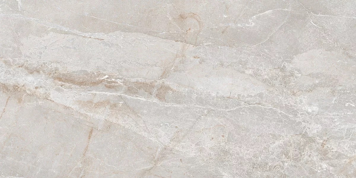 Stonico Oyster Grey Glossy 60x120 Art Ceramic