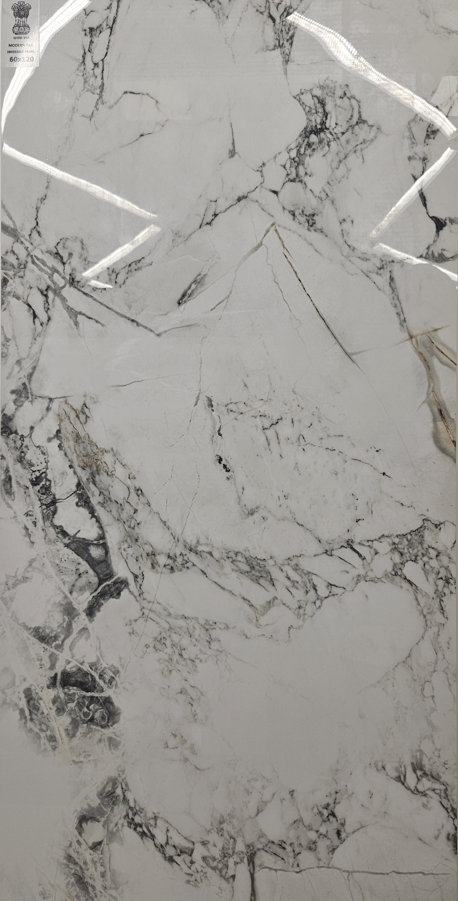 Invisible Pearl 60x120 Modern Tile
