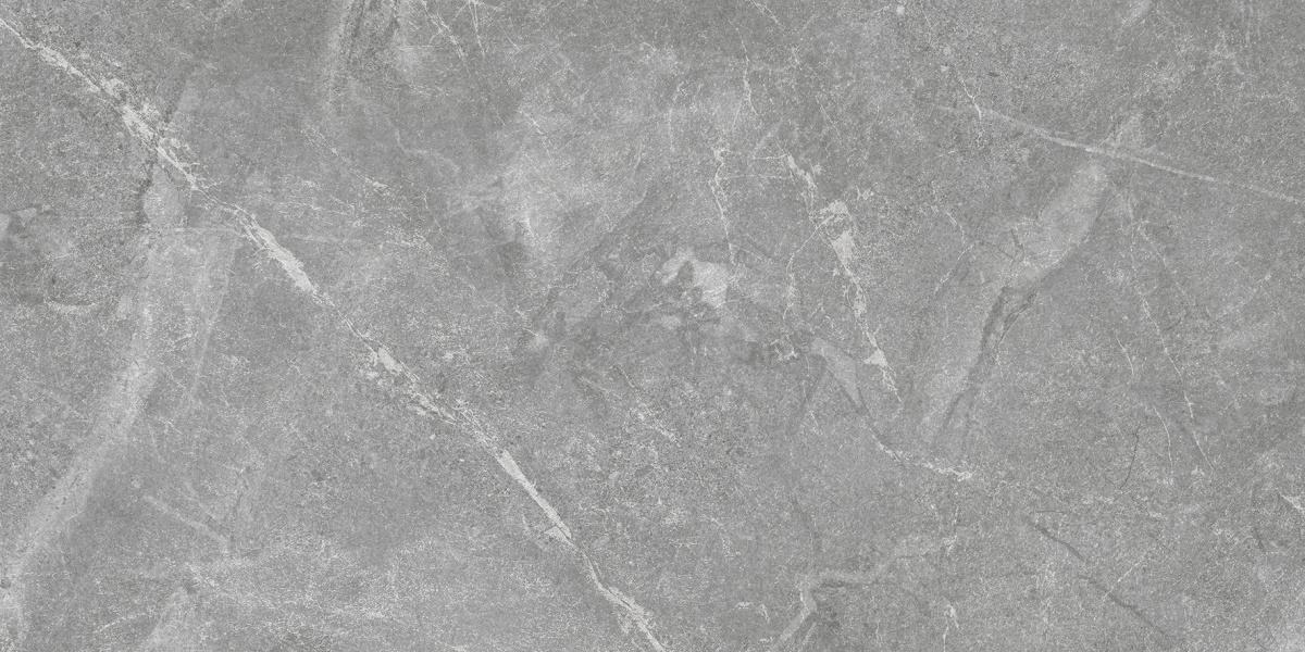 Rocky Grey PRO серый матовый R10GR STR CB 60х120 Laparet