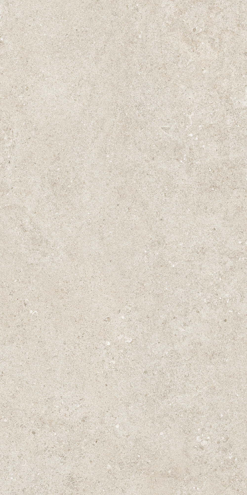 36902 Cluny Beige 4D/50X100X2/A/R 50x100 Peronda фото 4