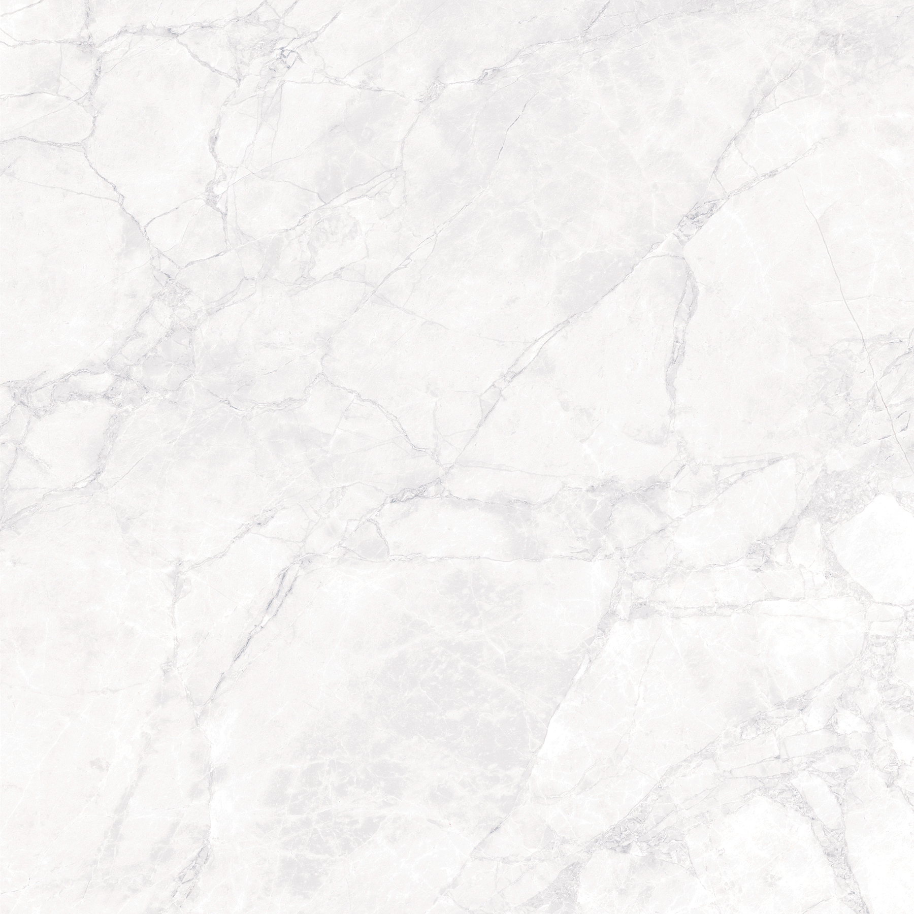 CR6008-A Arctic White Carving 60x60 Arcadia Ceramica фото 4