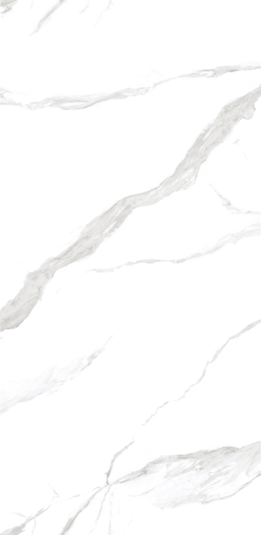 NTT3009M Statuario Mat 120x240 NT Ceramic