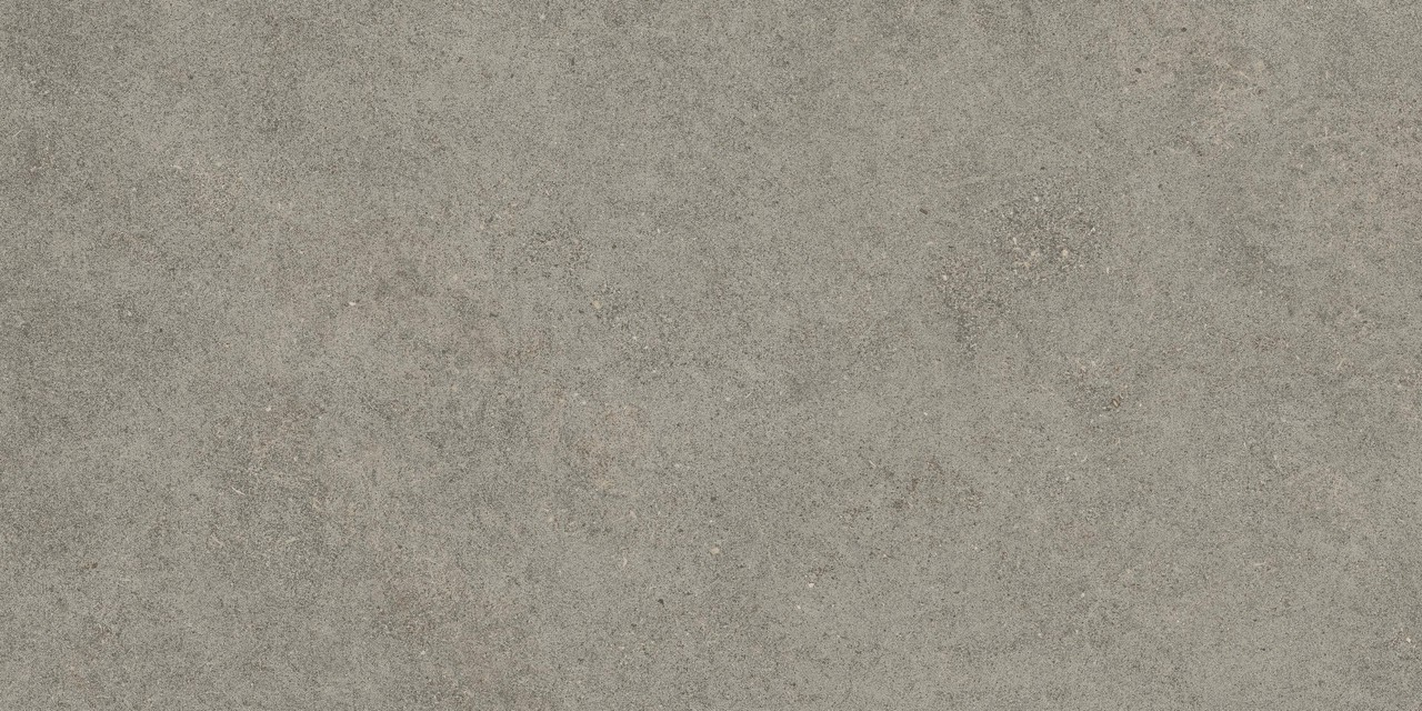 610010005821 Forte dei Marmi Rock Lunar Grey Matt Rett 60x120 Atlas Concorde Russia