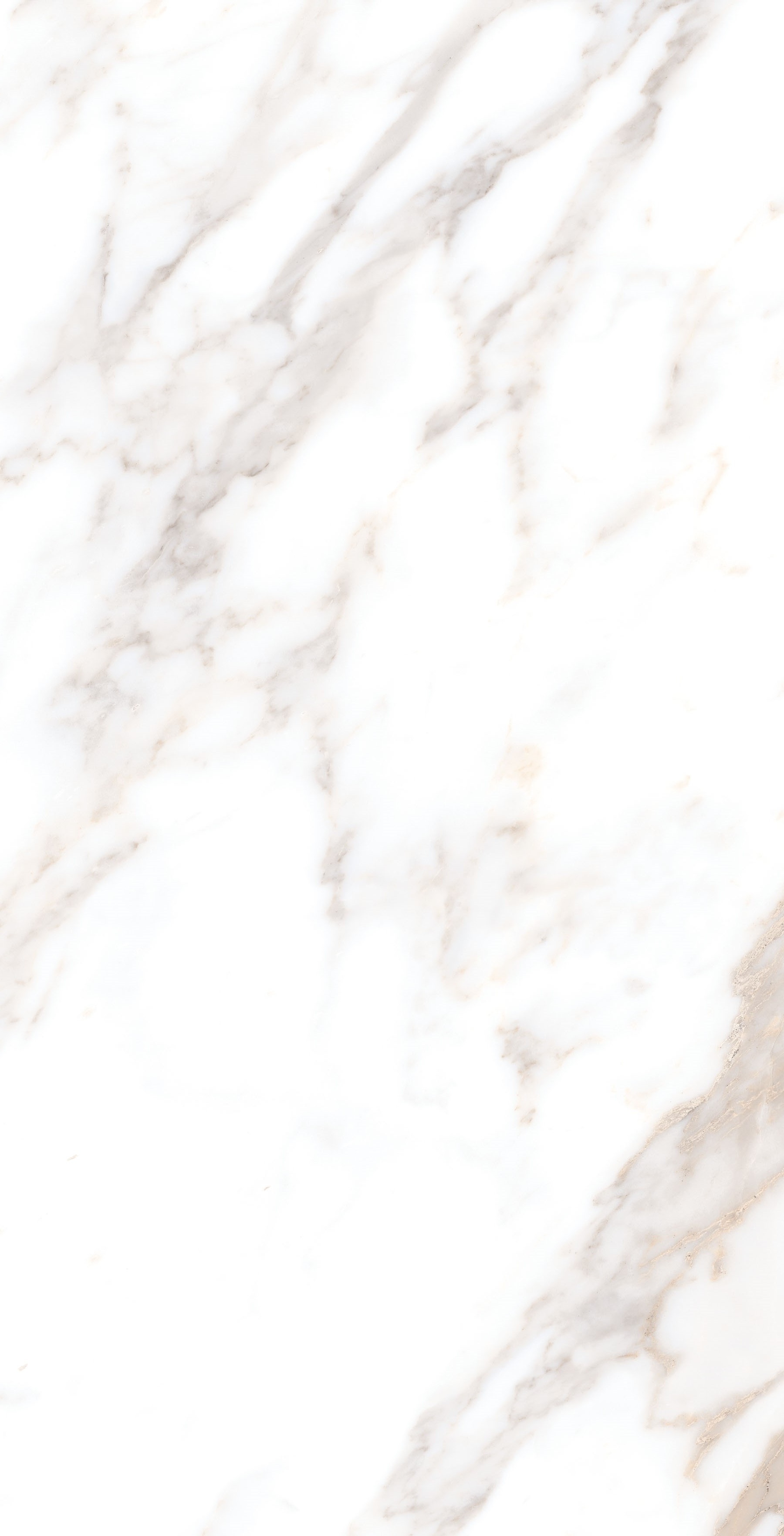 Calacatta Borghini Sugar 60х120 Gresant