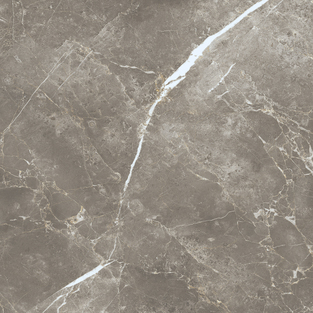 ECE3 Persian Grey Silk RT 60x60 Keope