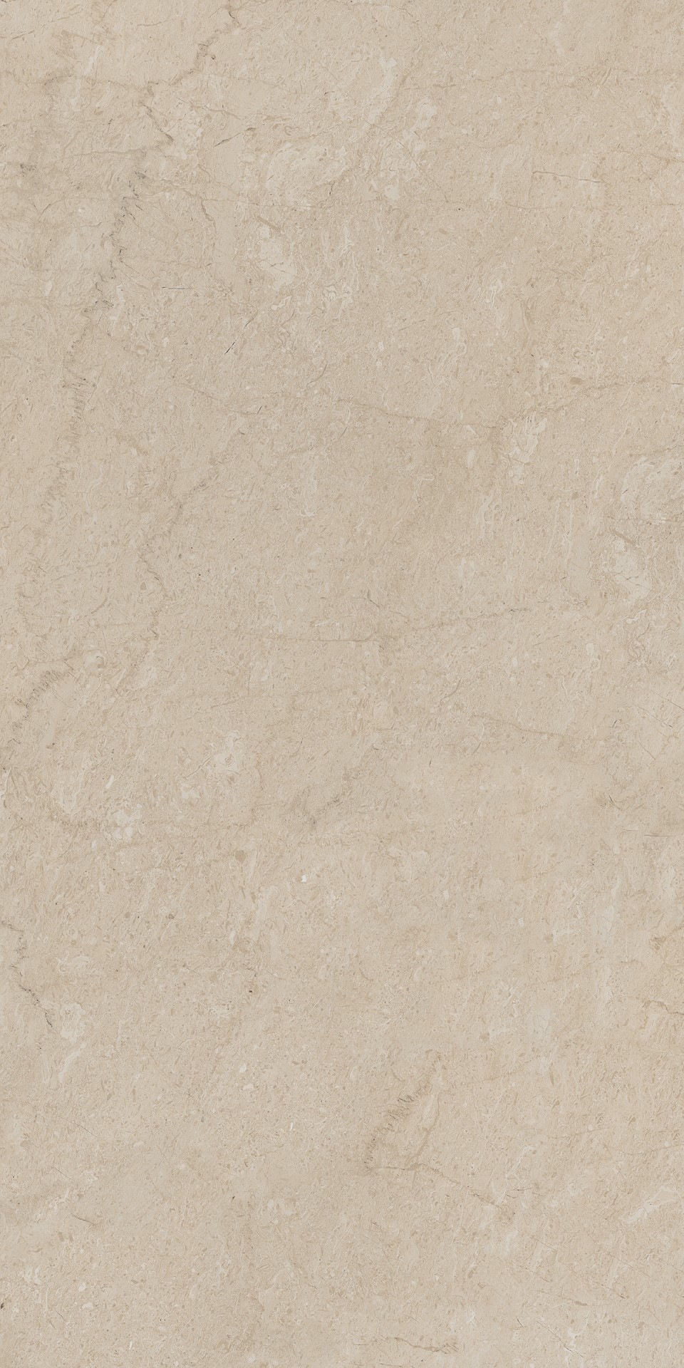 AEM01 Элемента Бежевый Неполированный Рект 60x120x9 Ametis by Estima фото 3