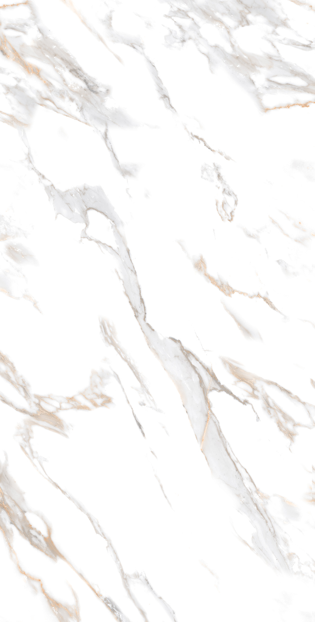 CR4019-A Calacatta Gold Carving 60x120 Arcadia Ceramica