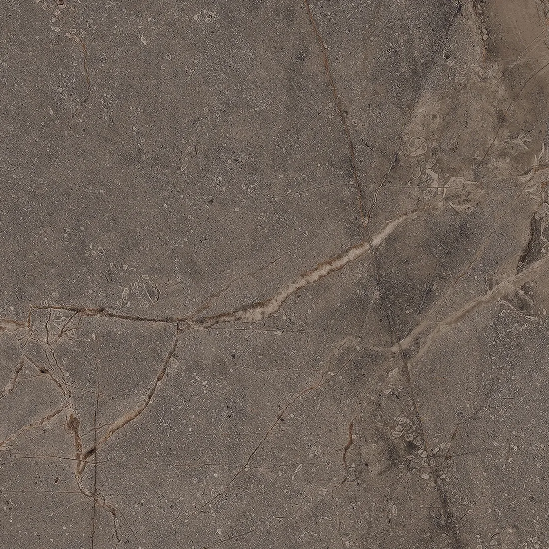 Mia Dark Sugar Carving 60x60 Realistik