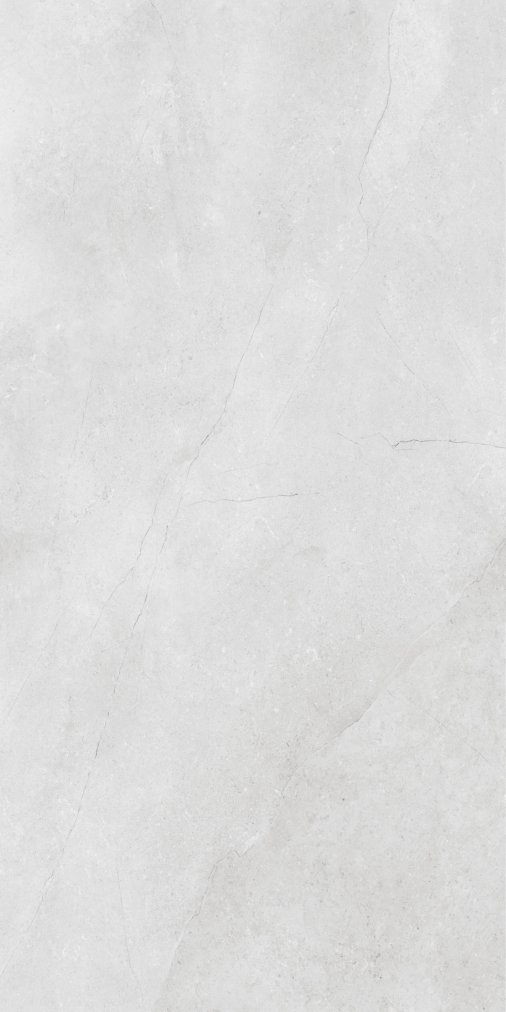 1205 Porto White Matt 120x60 Artcer