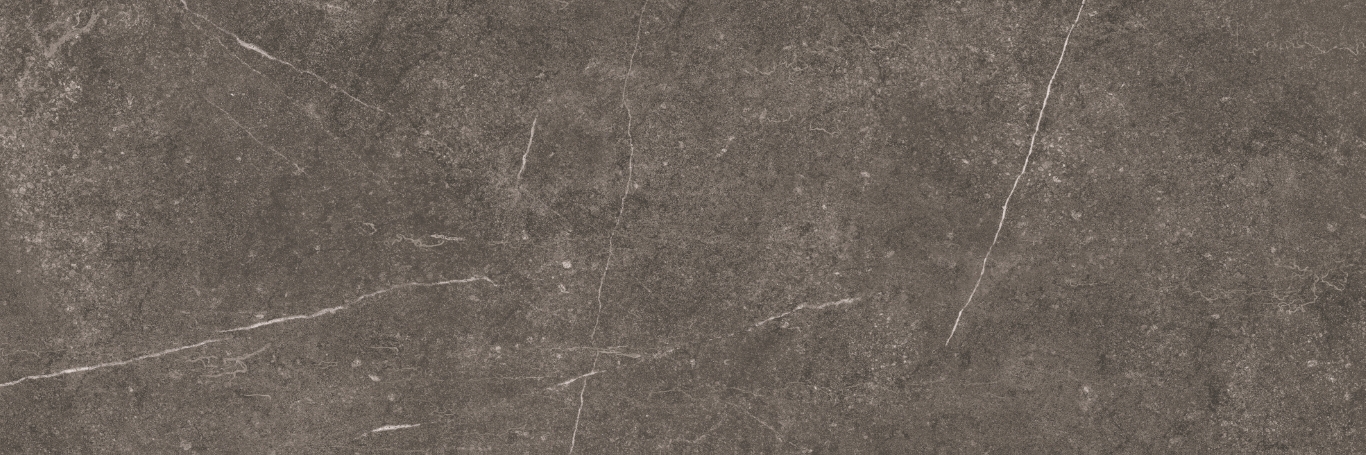 Shetland Dark Rectificado 33.3х100 Baldocer