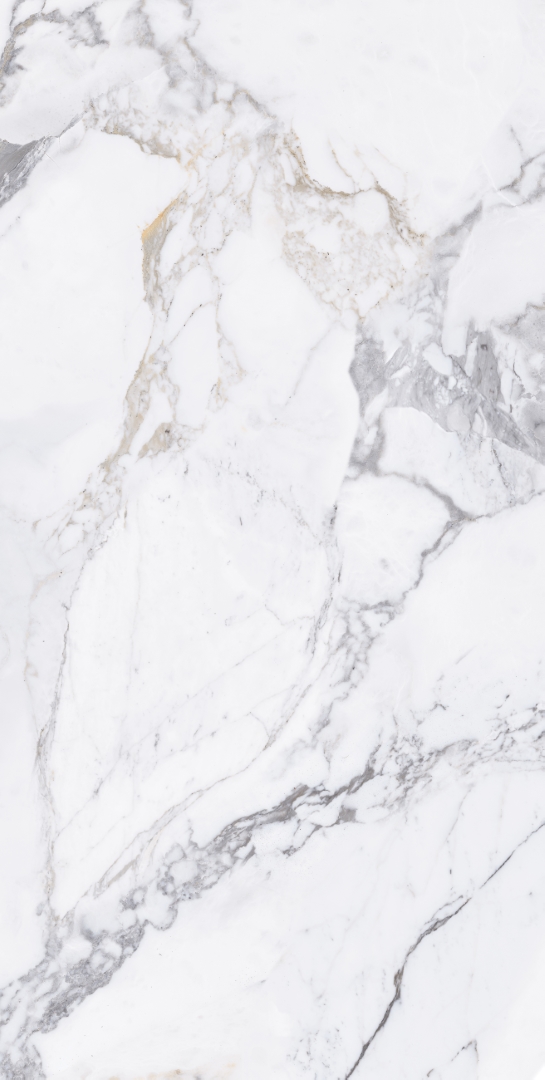 Arabescato Silver Glossy 60x120 Modern Tile
