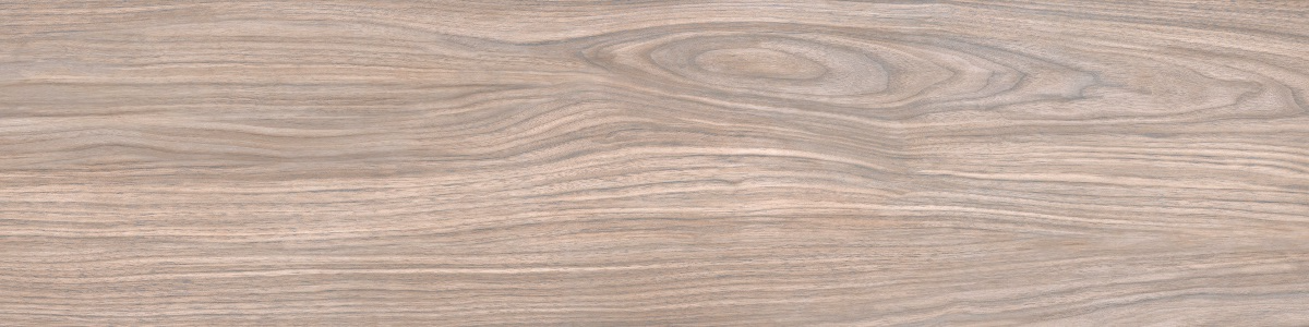 WD11 Forest Gold terra 20x80 PrimaVera