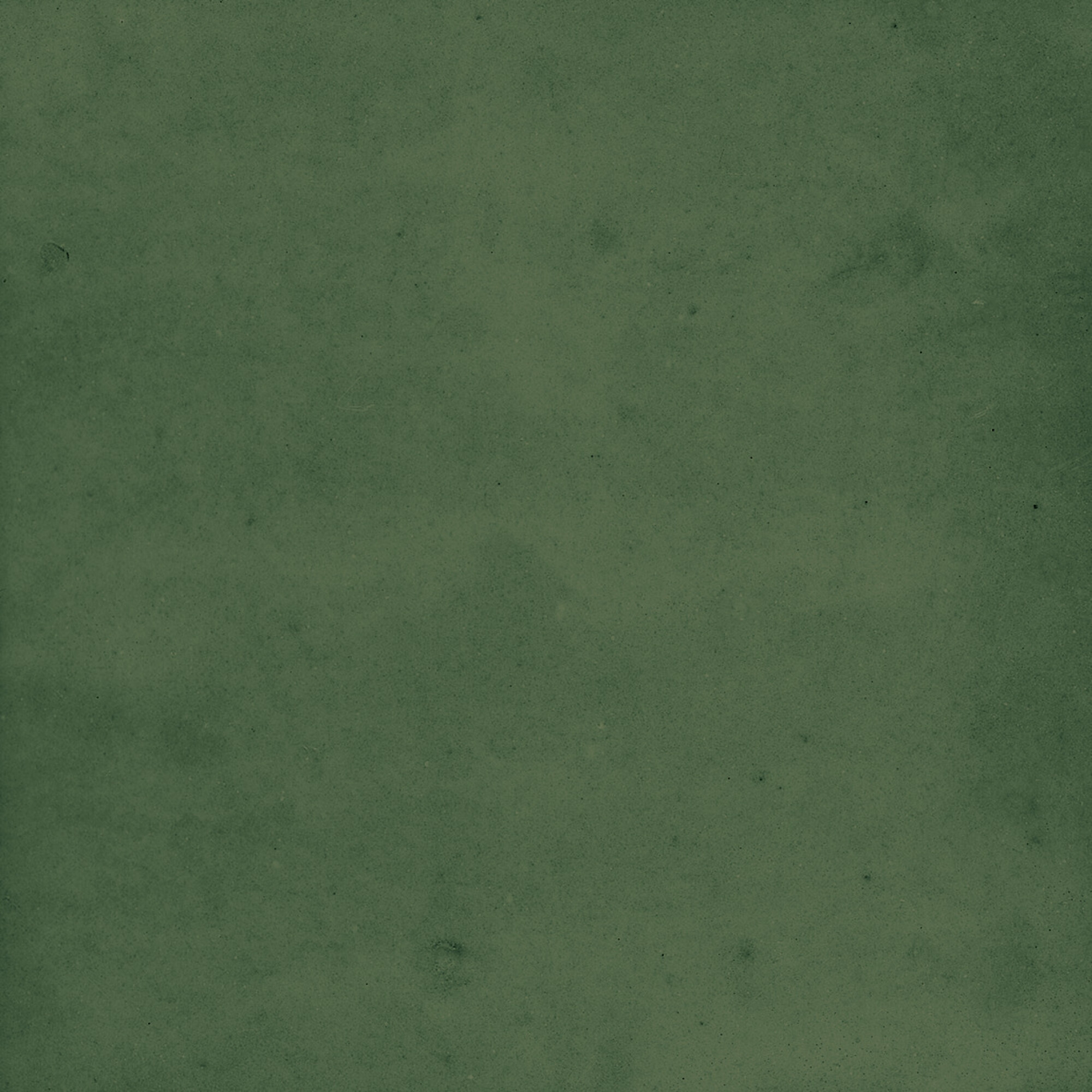 43289 Samira Green 10x10 Harmony фото 39