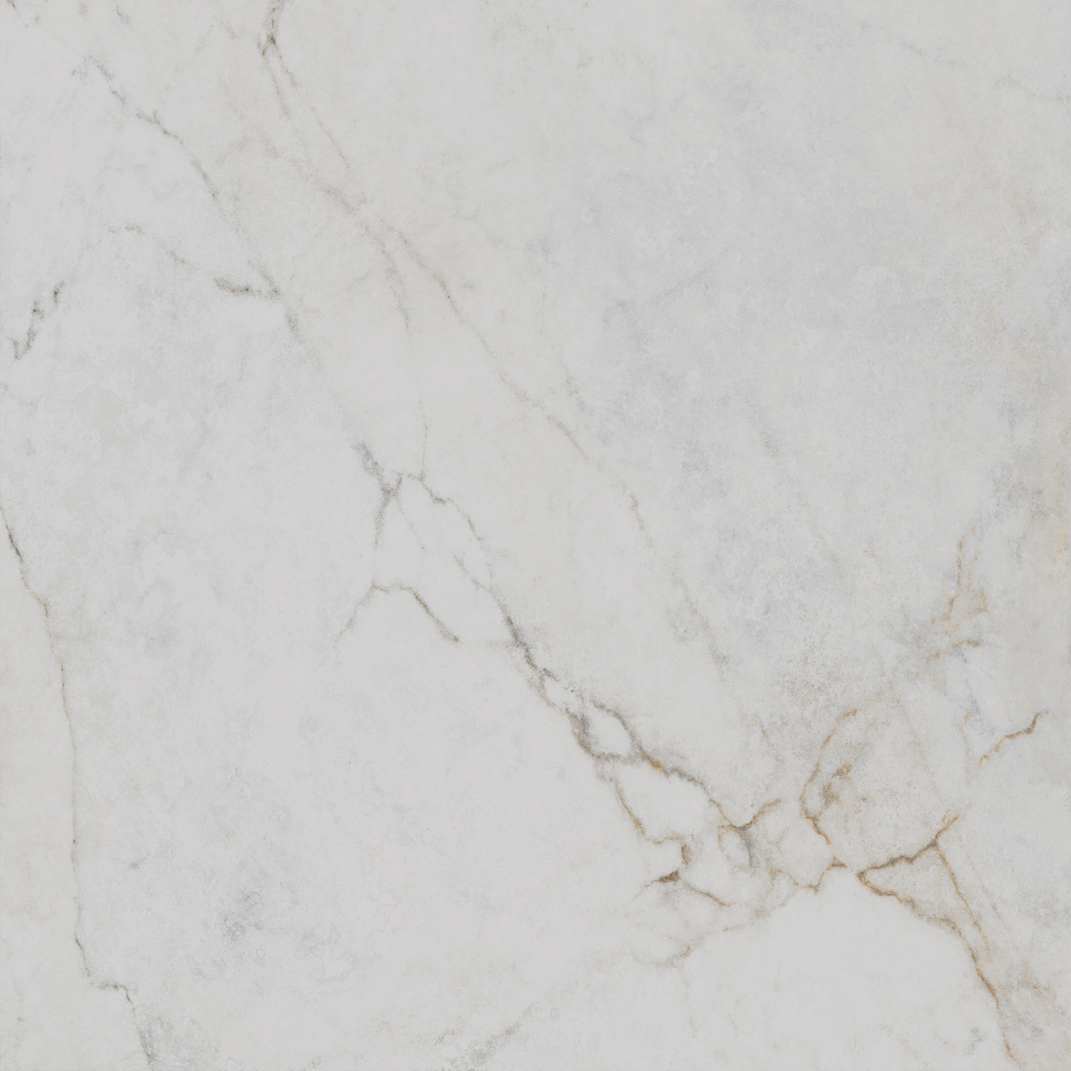 SG654022R Серенада белый лаппатированный обрезной 60x60 Kerama Marazzi фото 5