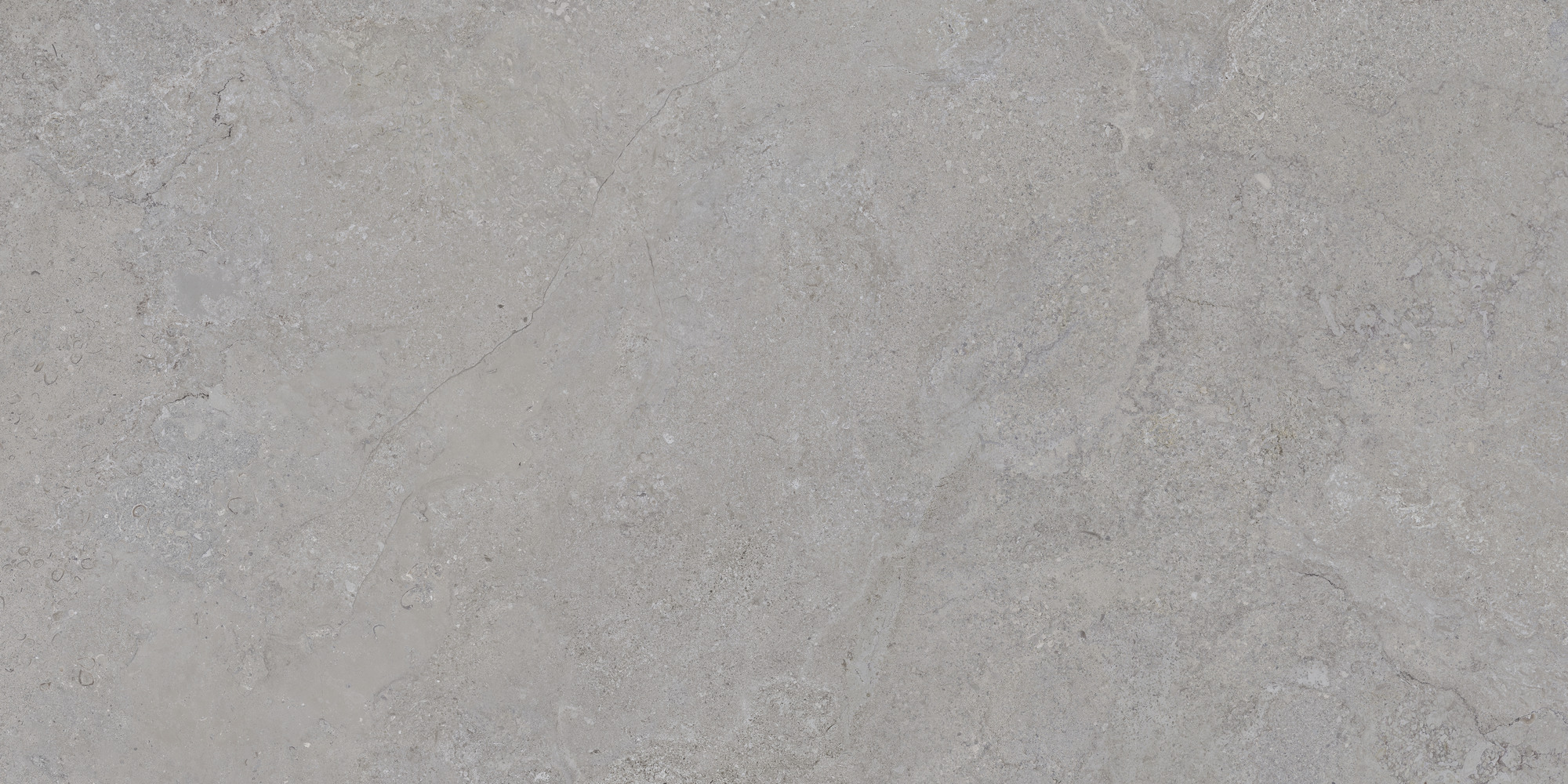 Dorset Silver Rec. 60x120 TAU Ceramica фото 3
