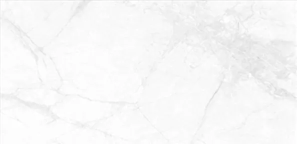 BHL-6001 Carrara Silver Matt 600x1200x9.2 Basconi Home