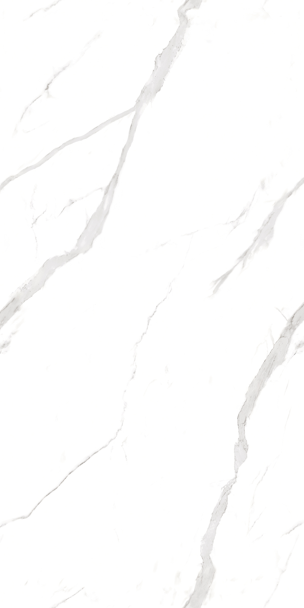 900 Statuario Fantastico 120x60 Artcer
