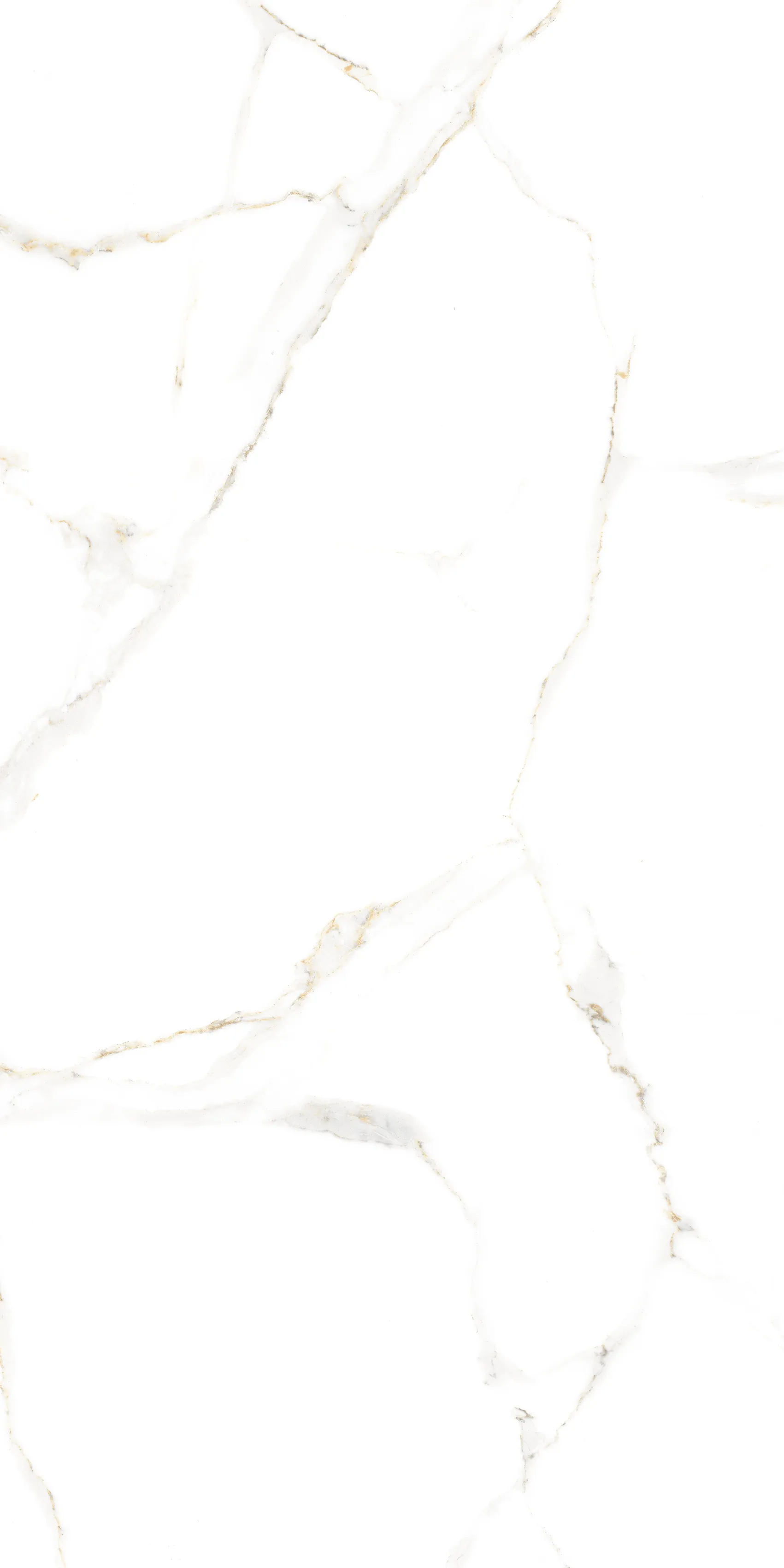 Satvario Lite White 60x120 Velsaa