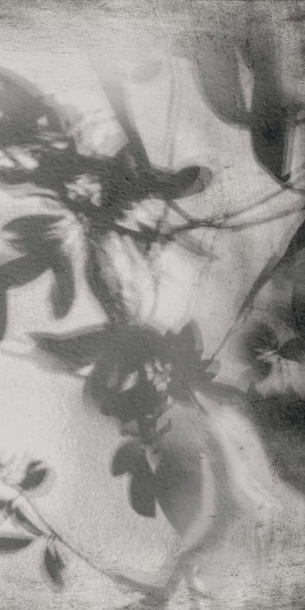 PF60012582 Art Walls Shadow Nat R 60x120 Flaviker
