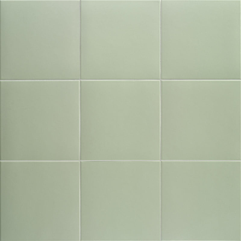 Technical Basil 20x20 Mainzu