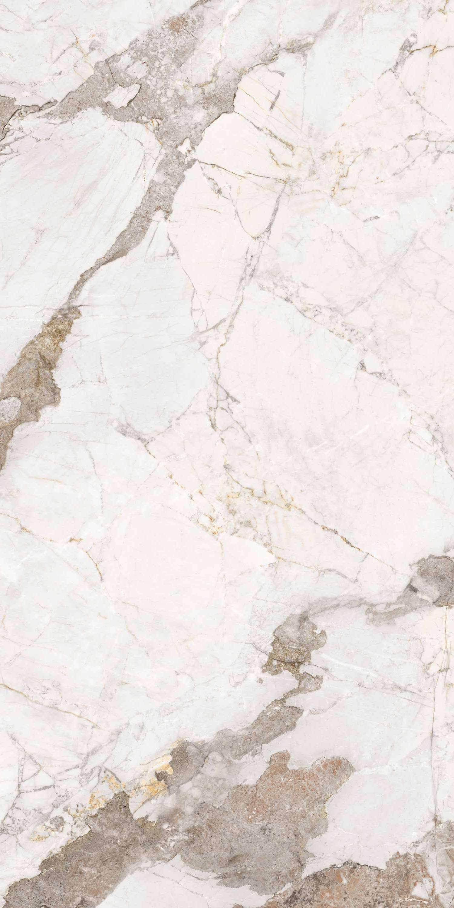 CRV Colonia Brown 2P Carving 60x120 BELLEZA фото 4