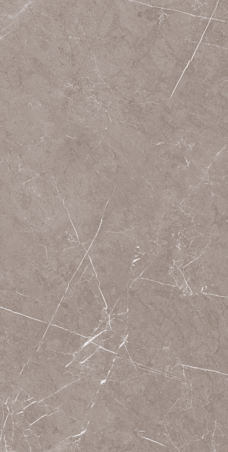 1070 Monte Taupe Carv 120x60 Artcer
