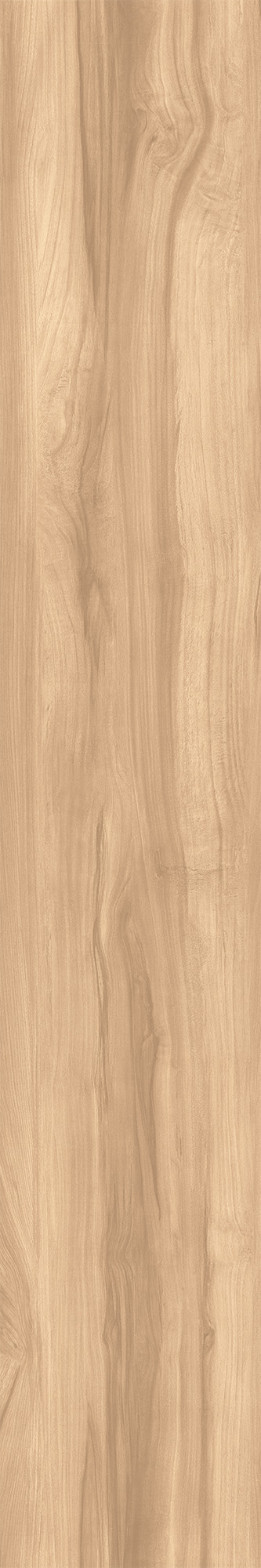 CW-RT09-B Fossil Wood Brich Rustic 20x120 Creanza