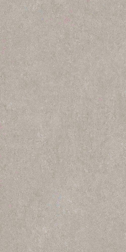 766521 Elemental Grey Sandstone Luc Ret 60x120 Cerim