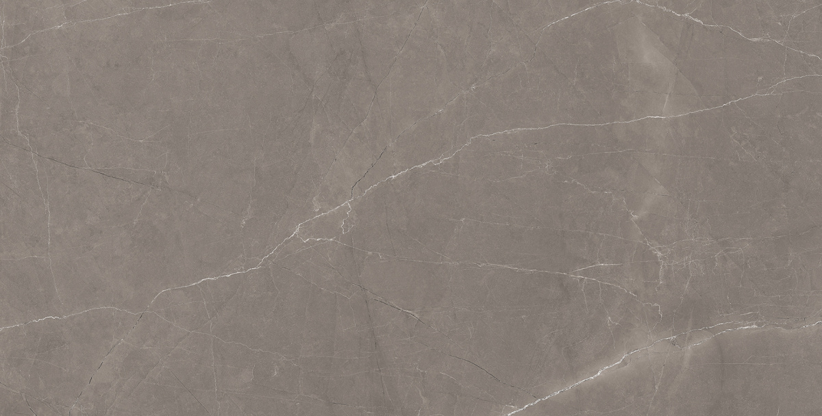 Splash Grey серый 60х120 Laparet