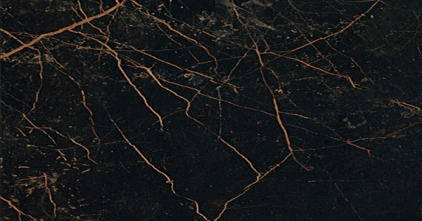 240063 MARBLE NERO S.LAURENT LAPPATO 58.5x117.5 Versace (Gardenia Orchidea)