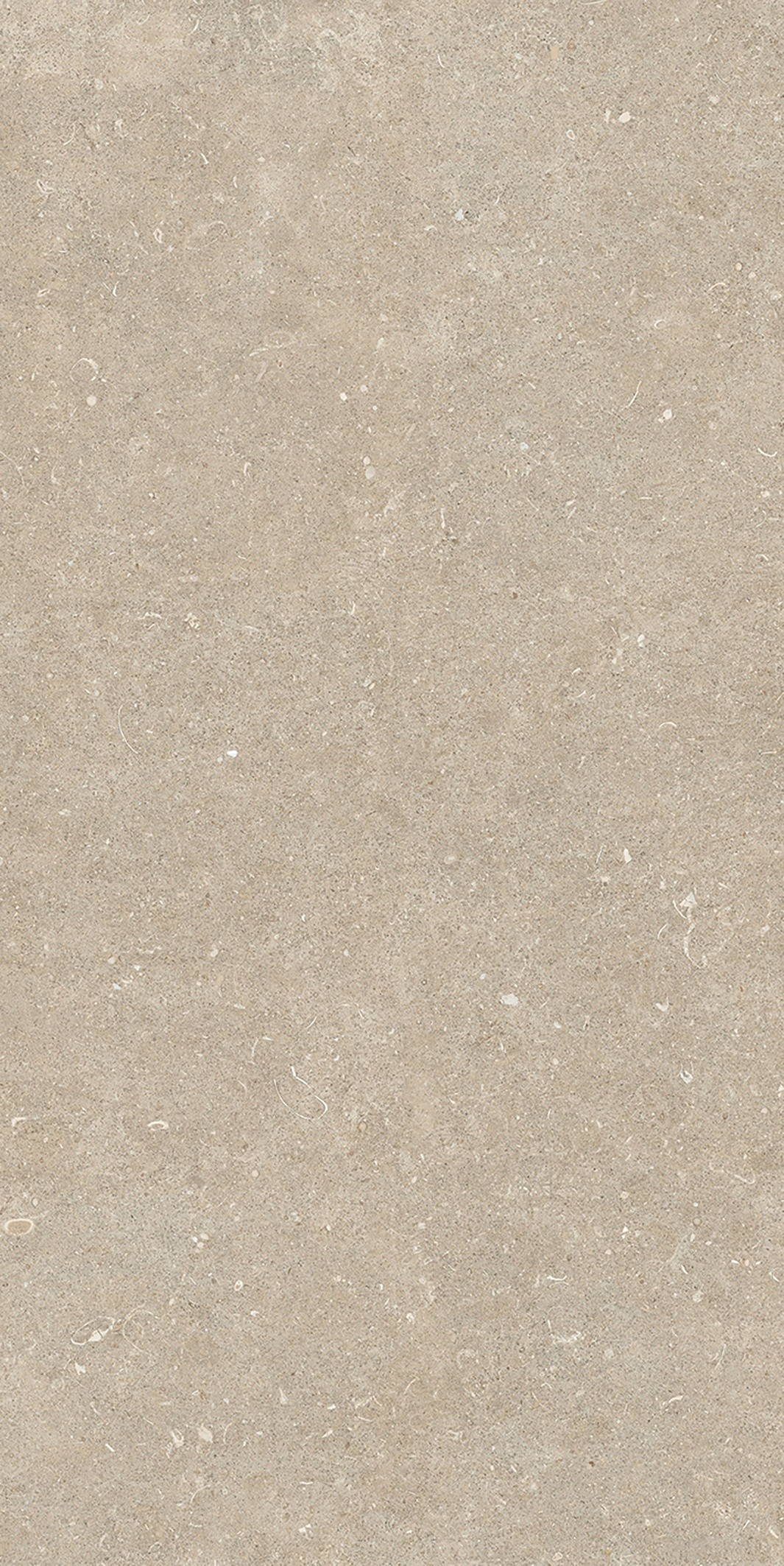 785575 Rinascenza Arena Conchiglia Matte 6mm 60x120 Casa Dolce Casa фото 3