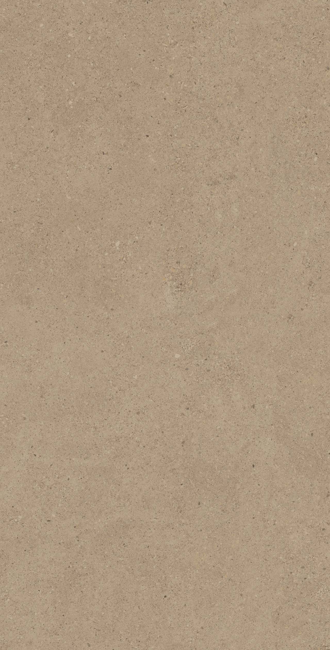 CE01 Спенс Темно-бежевый Структурированный Рект 60x120x9 Estima фото 4