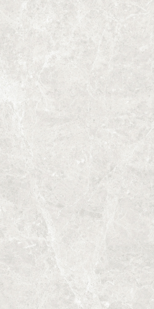 GT120604606PR Korinthos Светло-серый 60x120 Global Tile