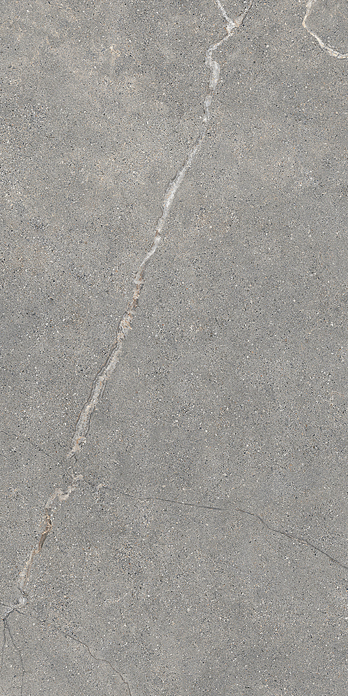 LGXAL45 Anthology 04 Gray Natural RT 9.5mm 60x120 Lea Ceramiche