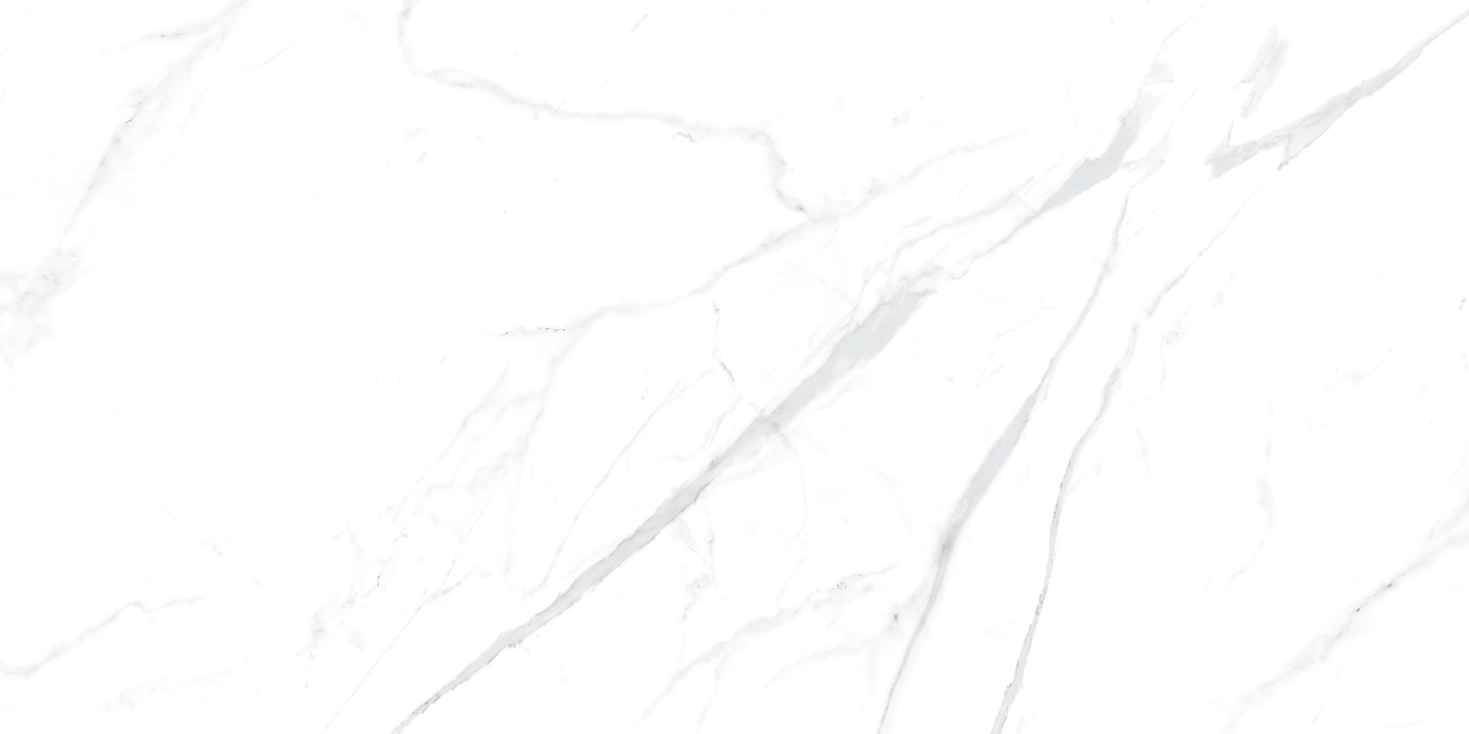 Statuario White 60х120 ZERDE TILE фото 4