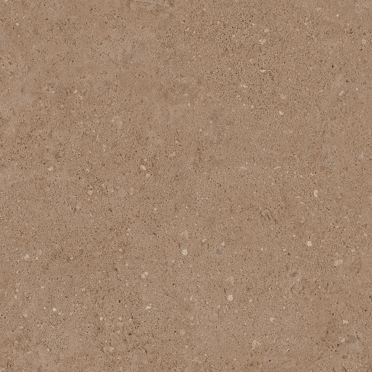 NP03 Newport неполированный 40.5x40.5x0.8 Estima