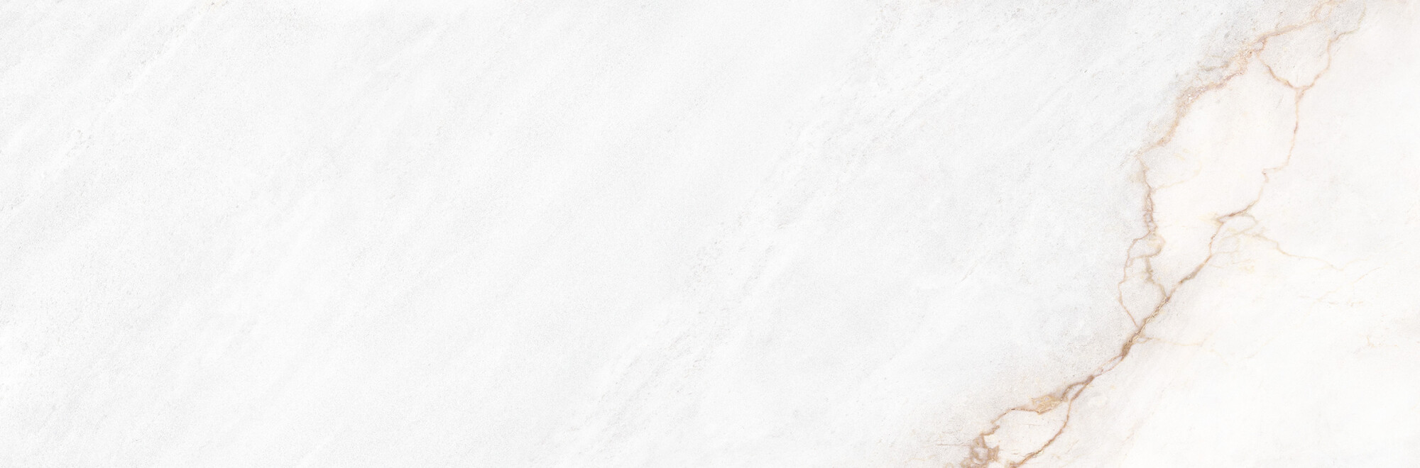 39500 Dahlia White SP/33,3X100/R 33,3x100 Peronda фото 10