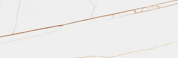 SPIDER BROWN Polished 240x80 Staro