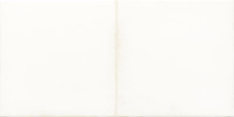 WARMB521 Retro White 20x40 RAKO