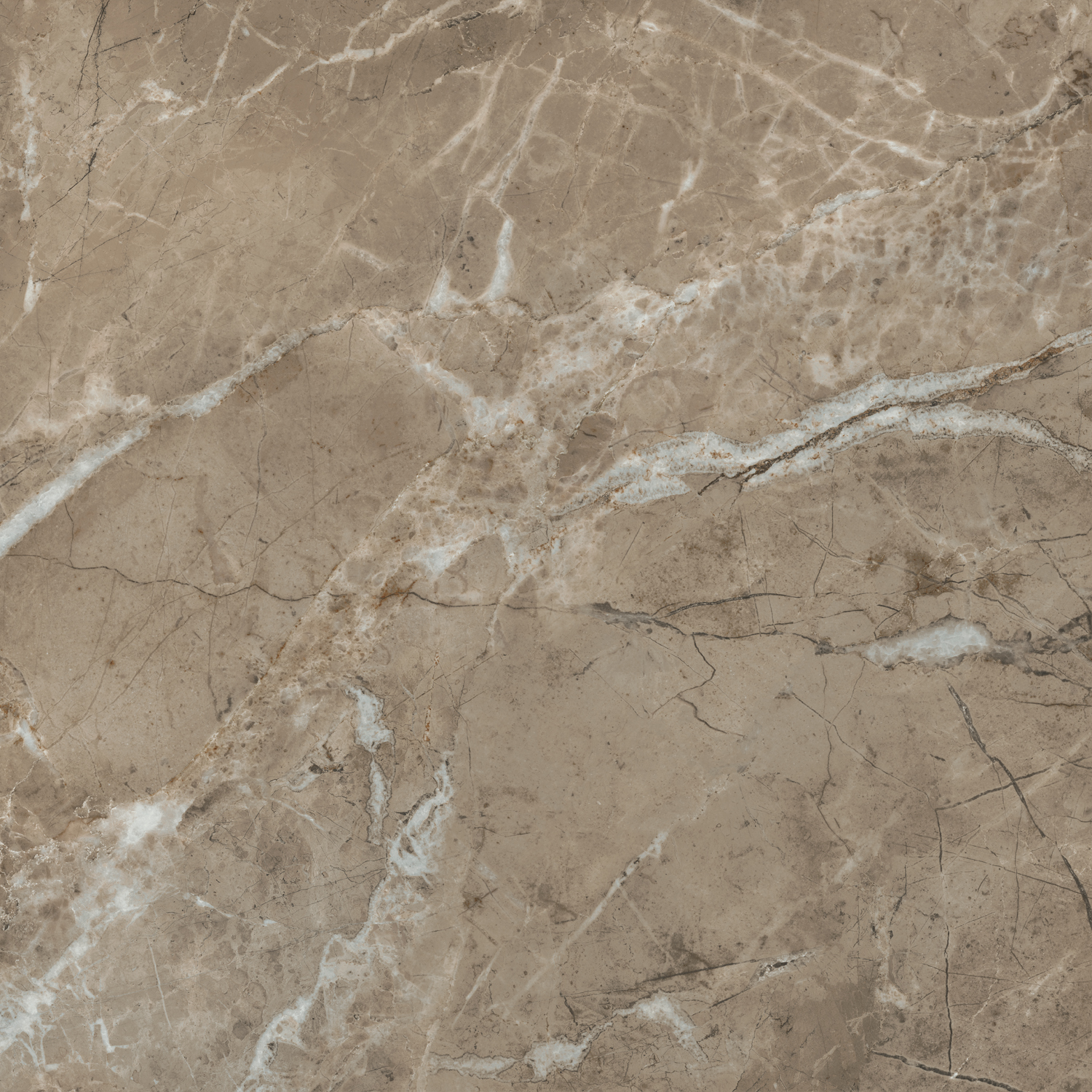 SG654122R Серенада бежевый тёмный лаппатированный обрезной 60x60 Kerama Marazzi фото 10