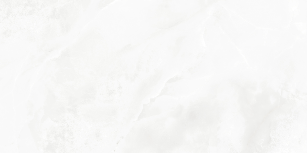 LP6012G0541R Bernini Bianco белый глянцевые чернила 59,5х119,1 Laparet