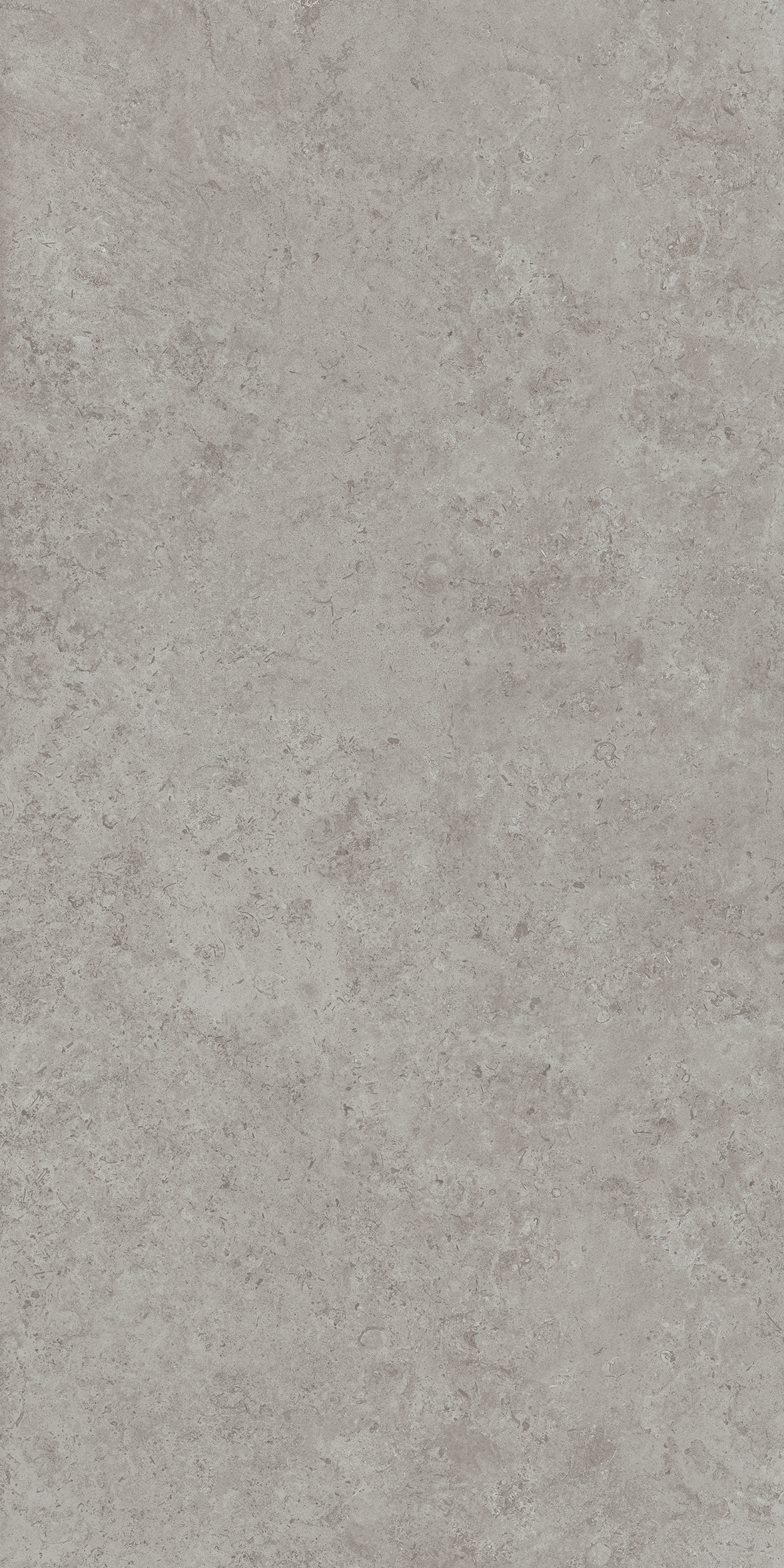 DD590600R Про Лаймстоун АТ серый натуральный обрезной R10 119,5х238,5 Kerama Marazzi
